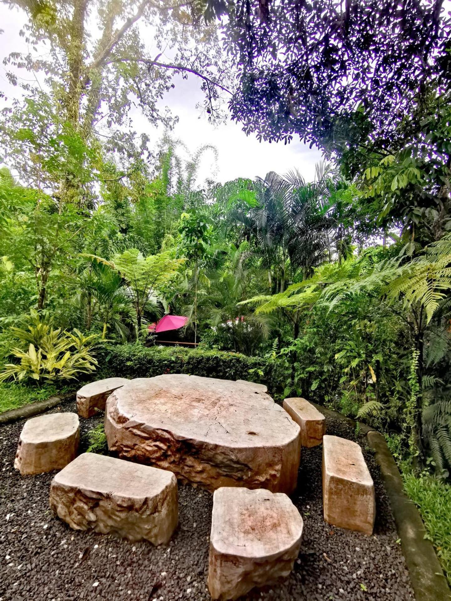 Bangnu Greenery Resort Takua Thung Exterior photo