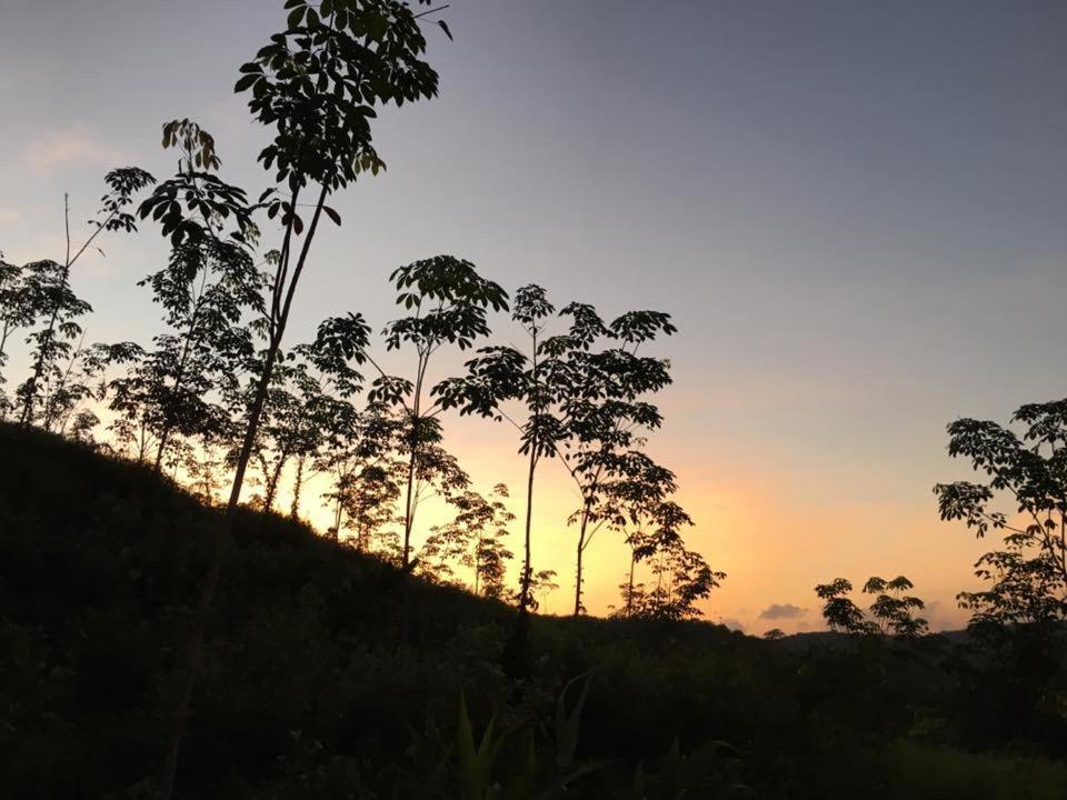 Bangnu Greenery Resort Takua Thung Exterior photo